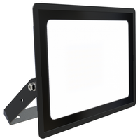 Ansell AEDELED200/WW Eden LED Floodlight Warm White 3000K 200W Black
