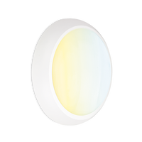 Aurora MestorCWS AU-BHE20CWS 230V 12/16/20W LED IP65 Round Bulkhead White 3000/4000/6500K