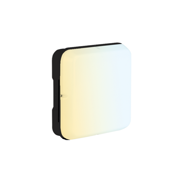 Aurora UtiliteDrumCWS AU-BH18SCWSBLK 230V 10/15/20W LED IP65 Square Bulkhead Black 3000/4000/6500K - westbasedirect.com