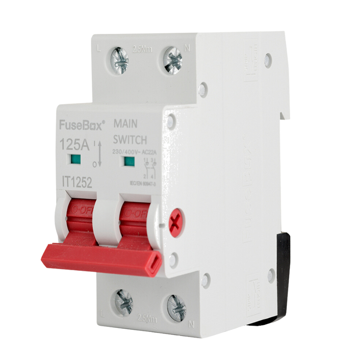 FuseBox IT1252 125A AC22A 2P Main Switch - westbasedirect.com