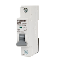 FuseBox MT10D321 32A 1P D Curve 10kA MCB