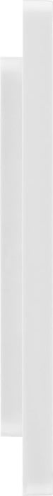 BG Evolve PCDBSEMS2W Twin Euro Module Aperture Single Front Plate (50 x 50) - Brushed Steel (White) - westbasedirect.com