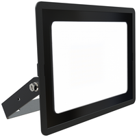 Ansell AEDELED100/CW Eden LED Floodlight Cool White 4000K 100W Black
