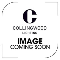 Collingwood LCLBS1DCRKIT Linear Cell Black Sil, Ceiling Rose Kit, DALI/Push, Suspension wires already included with luminaire