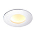 Saxby 112544 OrbitalPRO 4CCT Chrome IP65 9W Brushed satin nickel plate 9W LED module (SMD 2835  CCT) CCT - westbasedirect.com