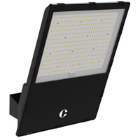 Collingwood IFLB3N40 K3 Indy Symmetrical Floodlight, 42000lm 300W, 4000K