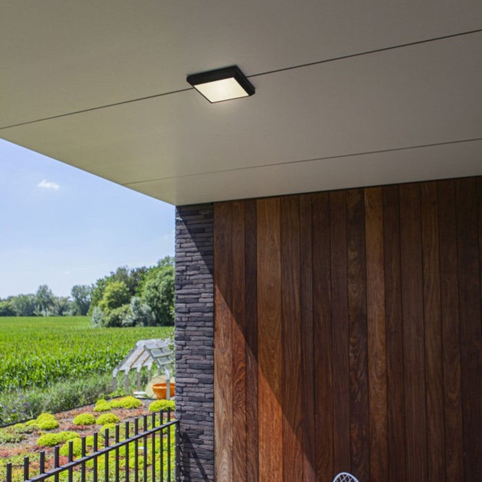 Lutec 5102101118 HELENA 14.8W IP54 LED Wall or Ceiling Light 4000K - Dark Grey