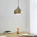 Endon 61299 Brosnan 1lt Pendant Matt antique brass paint 19W LED (SMD 2835) Cool White - westbasedirect.com