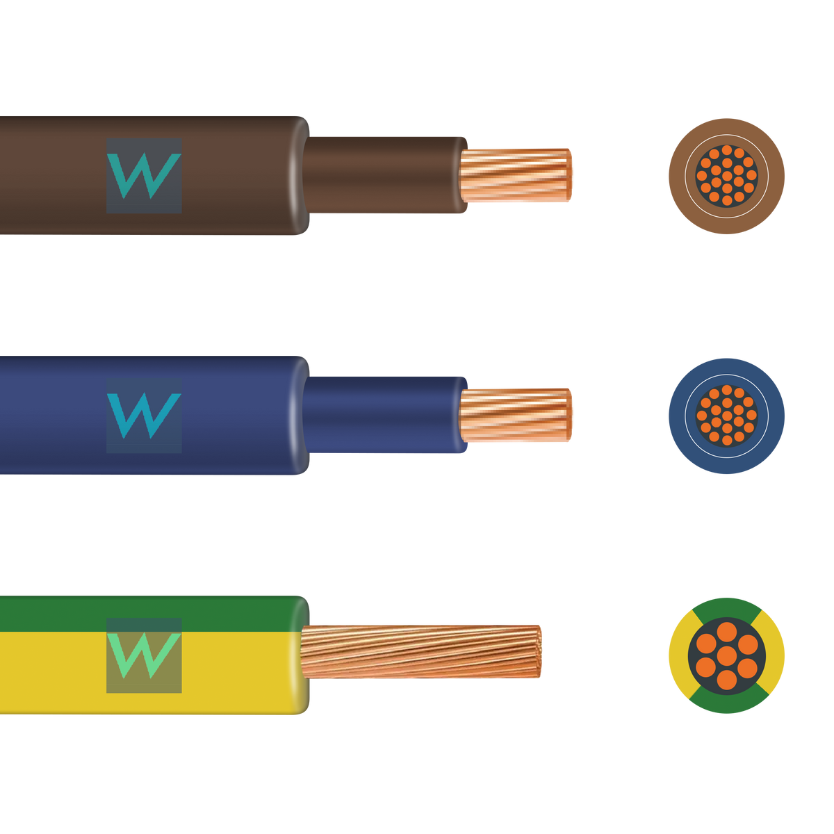 2m Flexi Meter Tails Pack 19-Strand 25mm Brown/Brown & Blue/Blue 6181Y ...