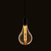 Endon 77084 XL E27 LED Globe 1lt Accessory Amber glass 2.5W LED E27 Warm White - westbasedirect.com