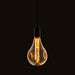 Endon 77085 XL E27 LED Dimple Globe 1lt Accessory Amber glass 2.5W LED E27 Warm White - westbasedirect.com