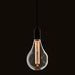 Endon 77113 XL E27 LED Dimple Globe 1lt Accessory Clear glass 2.5W LED E27 Warm White - westbasedirect.com