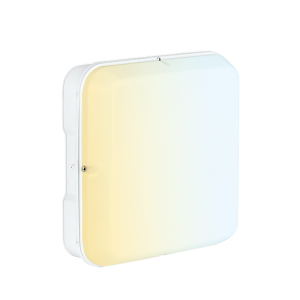 Aurora UtiliteDrumCWS AU-BH18SCWSW 230V 10/15/20W LED IP65 Square Bulkhead White 3000/4000/6500K