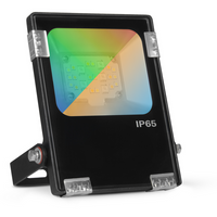 Aurora 100686 ArcheoRGBCX 230V 10W LED IP65 Floodlight Black RGB+W 2700K-6500K