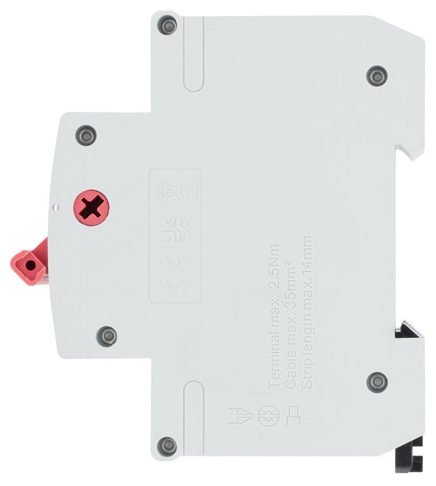 BG CUSW100 100A Double Pole 2 Module Main Switch (Isolator) - westbasedirect.com