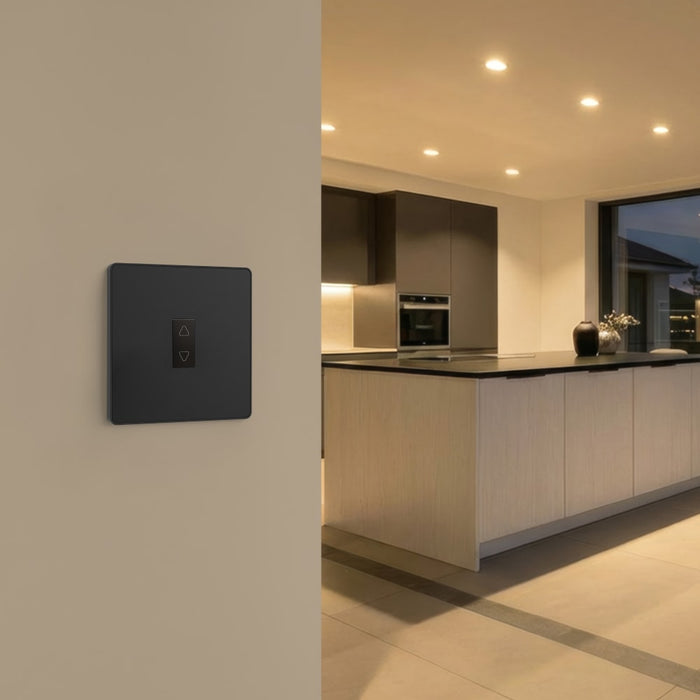 BG GridLite MPCDBTDM Evolve 100W Master Touch LED Dimmer Module - Black