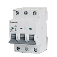 FuseBox MT10D633 63A 3P D Curve 10kA MCB