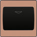 BG Evolve PCDCPKYCSB 20A 16A Hotel Key Card Switch - Polished Copper (Black) - westbasedirect.com
